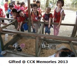 CCK 2013